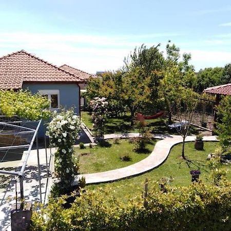 Villa Viktoria Halkidiki Nea Silata Exterior foto